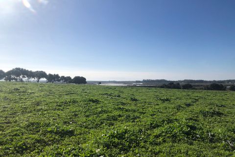 Terra a Barbate, Cadiz, Barbate - € 480.000 | Ref: vc 191 - foto 7